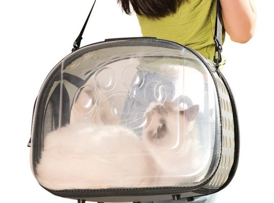 Pet Carrier – Transparent