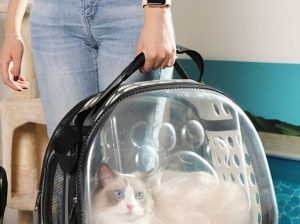 Pet Carrier – Transparent