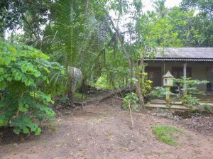 අගනා නිවස සහිත ඉඩමක් විකිනීමට / land for sale
