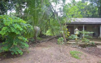 අගනා නිවස සහිත ඉඩමක් විකිනීමට / land for sale