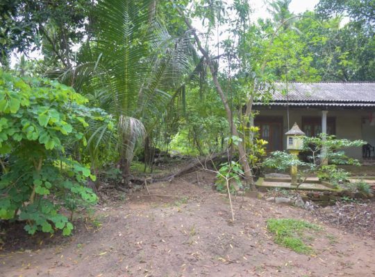 අගනා නිවස සහිත ඉඩමක් විකිනීමට / land for sale
