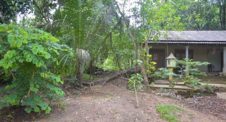 අගනා නිවස සහිත ඉඩමක් විකිනීමට / land for sale