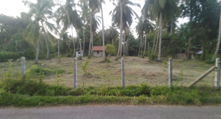 Land for sale in Marawila