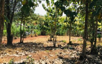 පදිංචියට අගනා බිම්කොටසක්