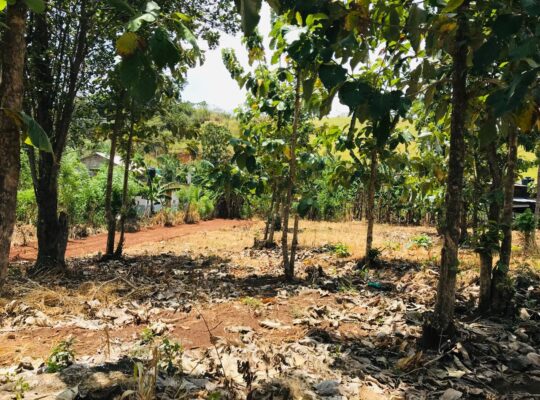 පදිංචියට අගනා බිම්කොටසක්