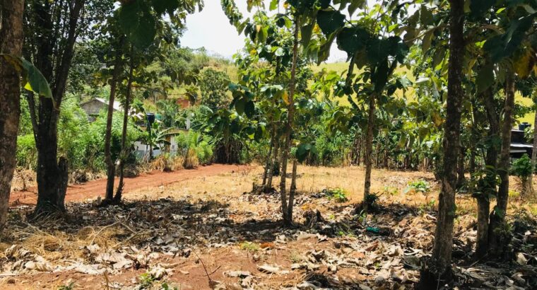 පදිංචියට අගනා බිම්කොටසක්