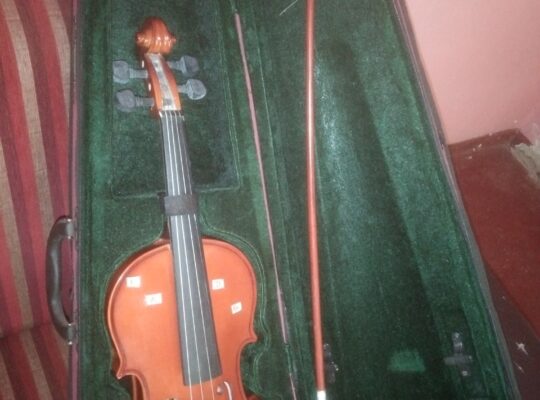 Barely used Lark Violin for sale
