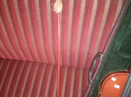 Barely used Lark Violin for sale