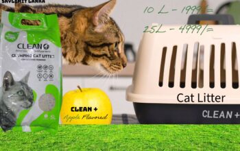 Cat Litter – Apple Flavor 10L – Clean + Brand