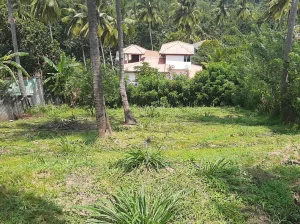 මහනුවර හාරගම 🏙️ උඩරට සඳැල්ල