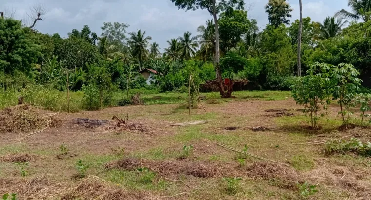 සින්නක්කර ඉඩමක් විකිනීමට ඇත