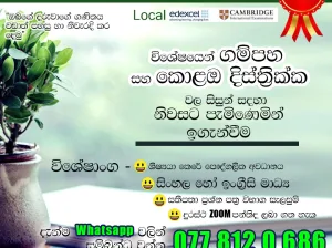 Grade 6–11 Individual Maths Class