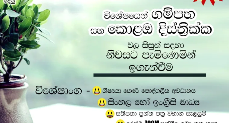 Grade 6–11 Individual Maths Class