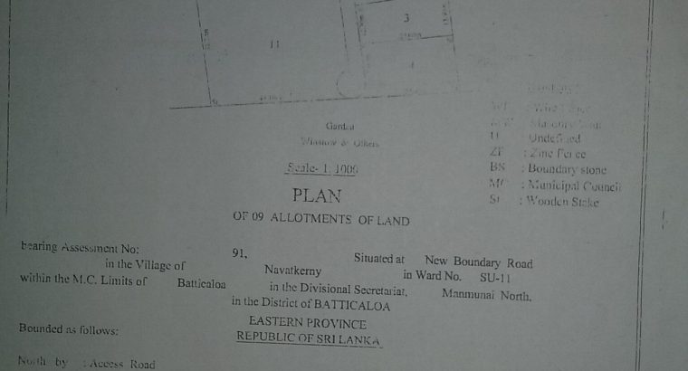 Sofa Cleaning service