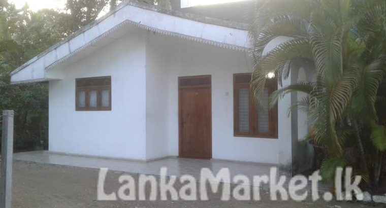 Suzuki Maruti 800 EFI (5 forward) – 2000 for sale