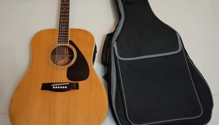 Coconut land for sale