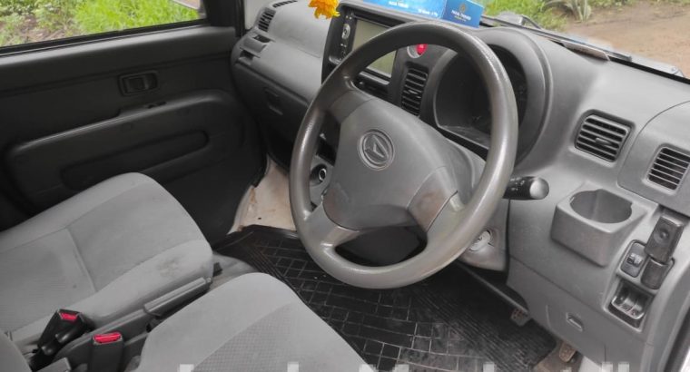 Aseel biscuit colour Rooster