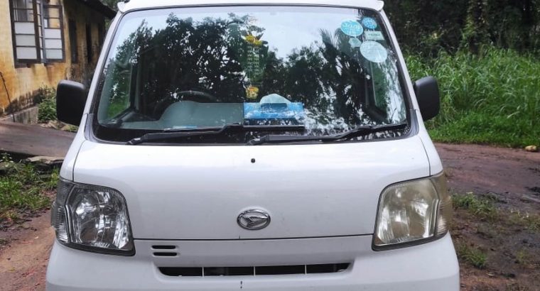 Aseel biscuit colour Rooster