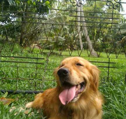 LAND FOR SALE KALUTARA