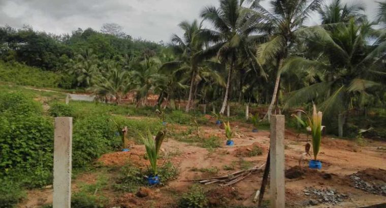 Honda civic es5 for sell in Matara