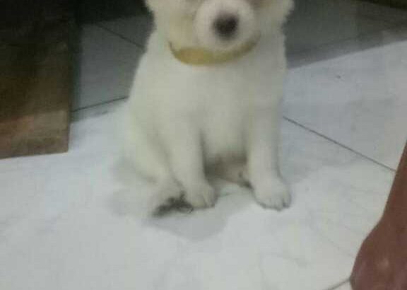 Heavenly cakes -classes