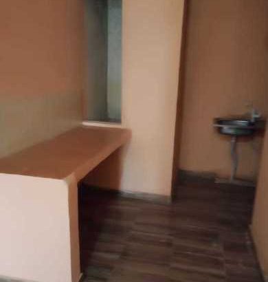 Cement Pots for sale