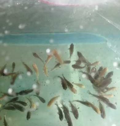 2.5 Acre Valuable Property for Sale