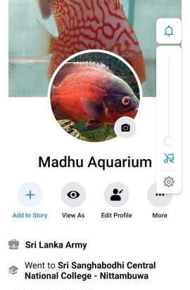 Bridal Frock for sale