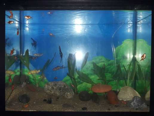 House for urgent sale in Kottawa, Mattegoda