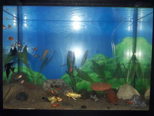 House for urgent sale in Kottawa, Mattegoda