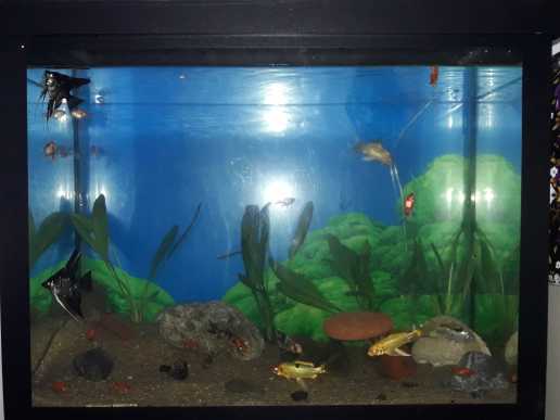 House for urgent sale in Kottawa, Mattegoda