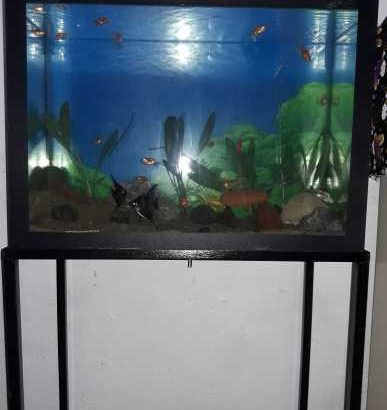 House for urgent sale in Kottawa, Mattegoda