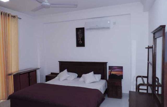 shark 48000 delay spray