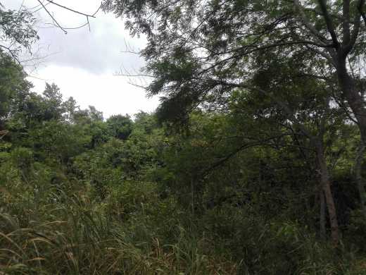 Acer X118 DLP Projector