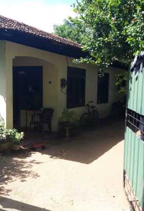 Suzuki Celerio 2014 auto fpr sale