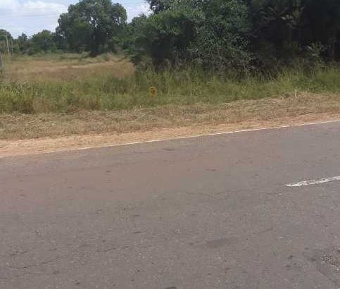 Luxury House for sale