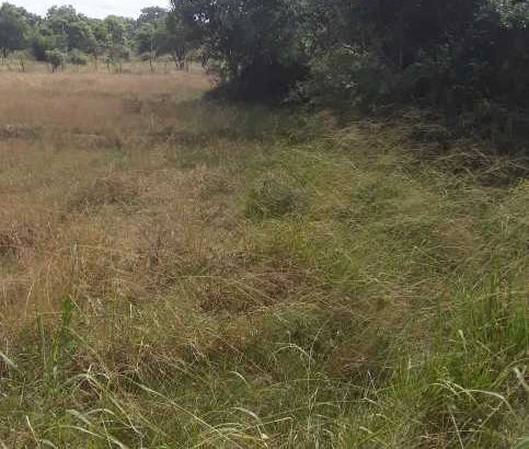 Luxury House for sale