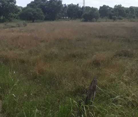 Luxury House for sale