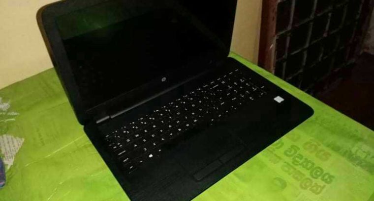 Golden Retriever For Sale (Crossing)