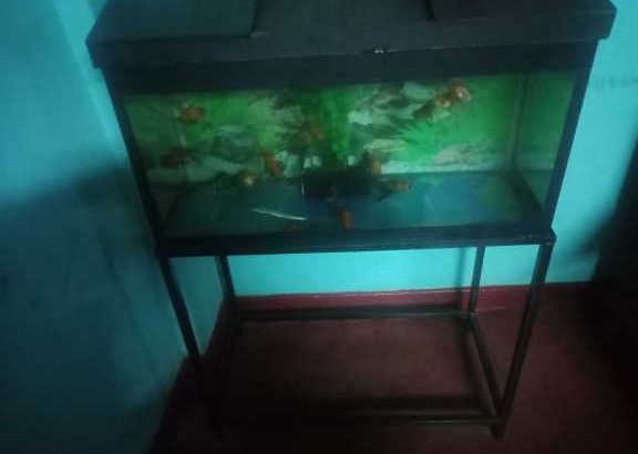 ALL UNDER ONE ROOF-EVENT SERVICES