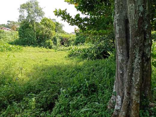 Valuable Property in Wennappuwa for sale