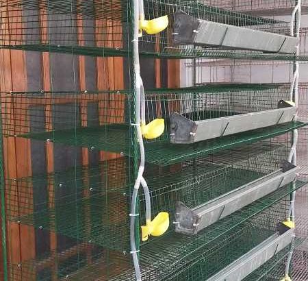 Lancia Flaminia Pininfarina coupe bumper (1958-1967)