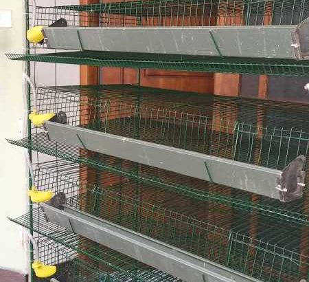 Lancia Flaminia Pininfarina coupe bumper (1958-1967)