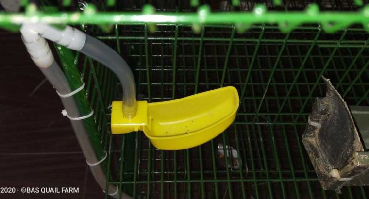 Lancia Flaminia Pininfarina coupe bumper (1958-1967)