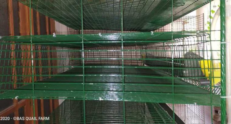 Renault Caravelle & Floride bumper (1958-1968)