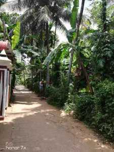 Land in Nittambuwa City Limit for Sale