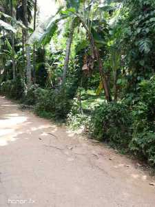 Land in Nittambuwa City Limit for Sale