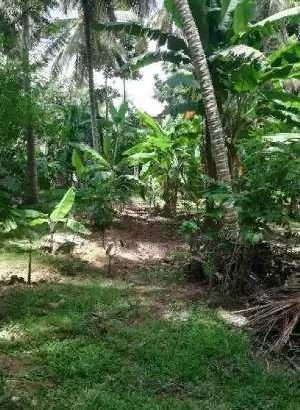 Land in Nittambuwa City Limit for Sale