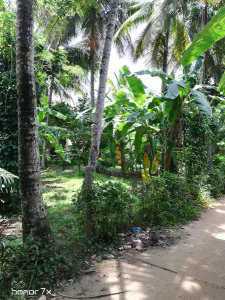 Land in Nittambuwa City Limit for Sale