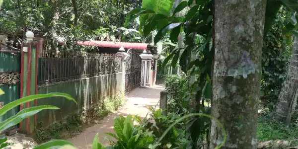 Land in Nittambuwa City Limit for Sale